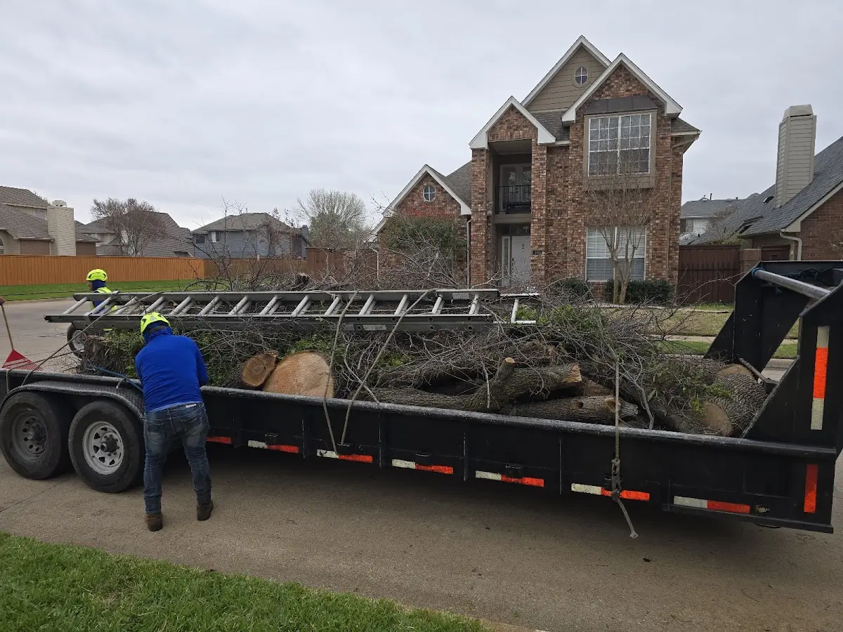 Expert Tree Fertilization with proper safety equipment in Mc Bee